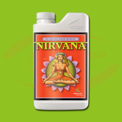 AN Nirvana