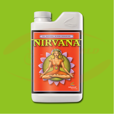 AN Nirvana