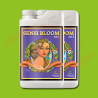 AN pH Perfect Sensi Bloom  A+B