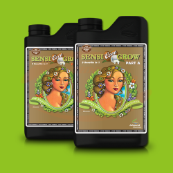 AN pH Perfect Sensi COCO Grow  A+B