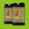 AN pH Perfect Sensi COCO Grow  A+B