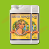 AN pH Perfect Sensi Grow  A+B