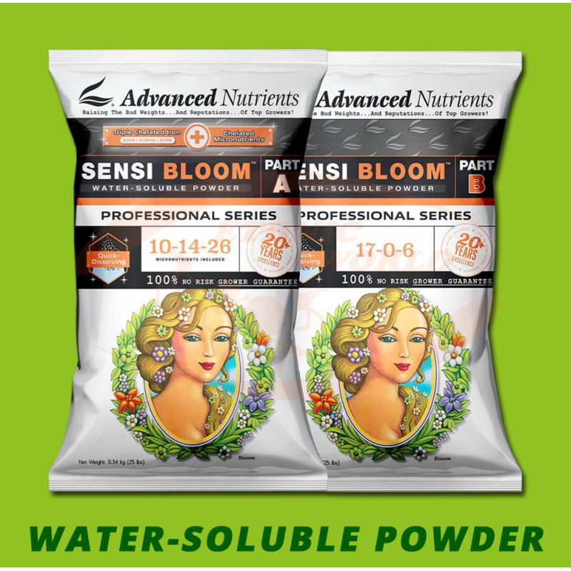 AN Sensi Bloom POWDER  A+B