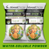 AN Sensi Grow POWDER  A+B