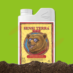 AN Sensi Terra Part One (Grow)