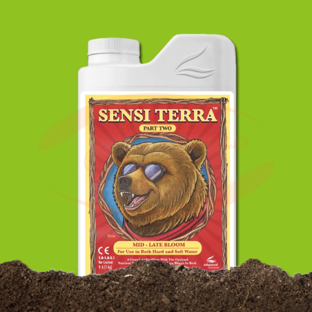 AN Sensi Terra Part Two (Bloom)