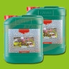 CANNA Aqua Flores  A+B