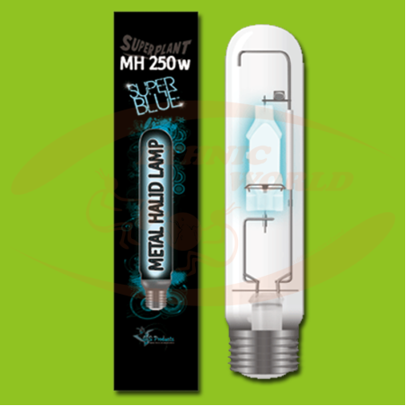Super Plant MH Super Blue