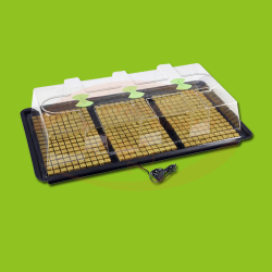 X-Stream Heat Large (Nutriculture)