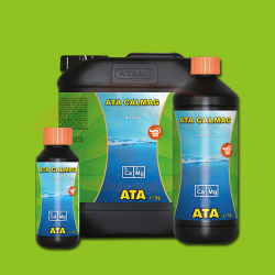 Ata Calmag