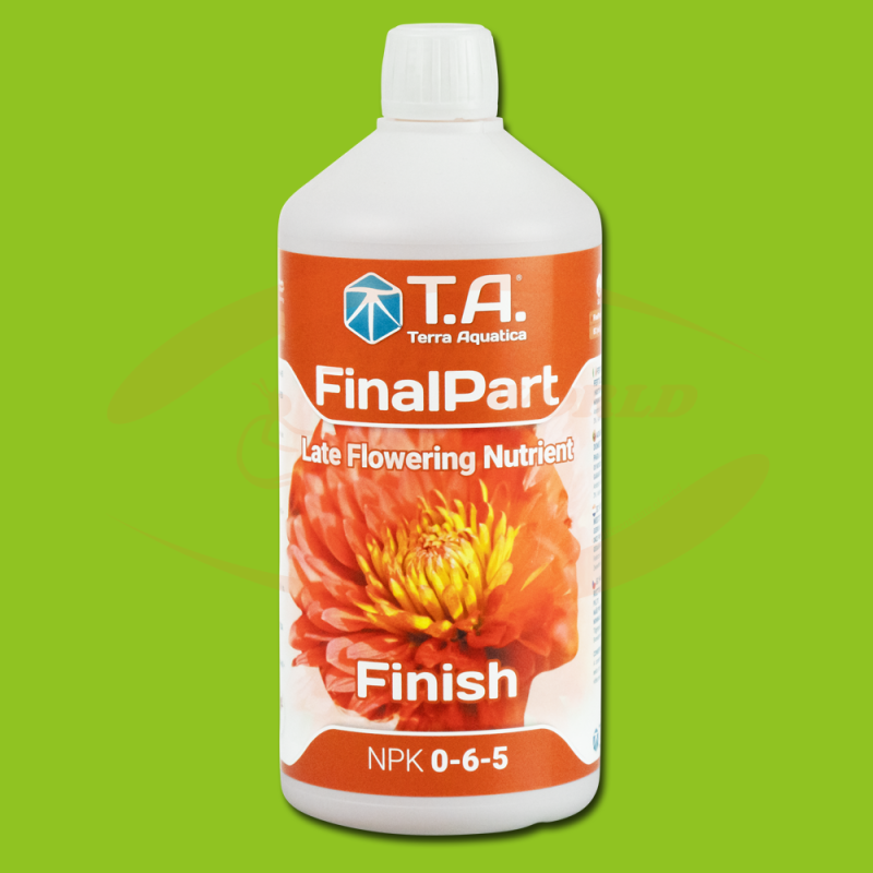 TA FinalPart (GHE Ripen)