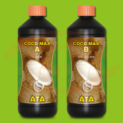 ATA Coco Max  A+B