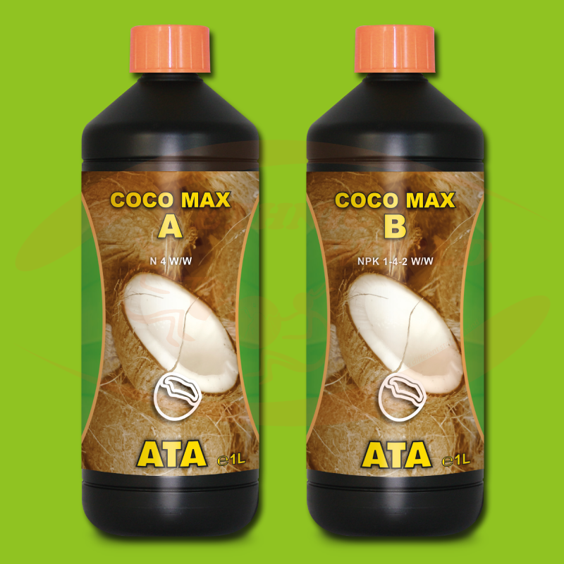ATA Coco Max  A+B