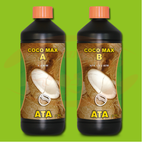 ATA Coco Max  A+B
