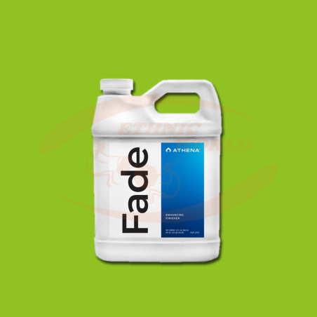 Athena Fade