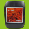 TheAzimut BLOOM