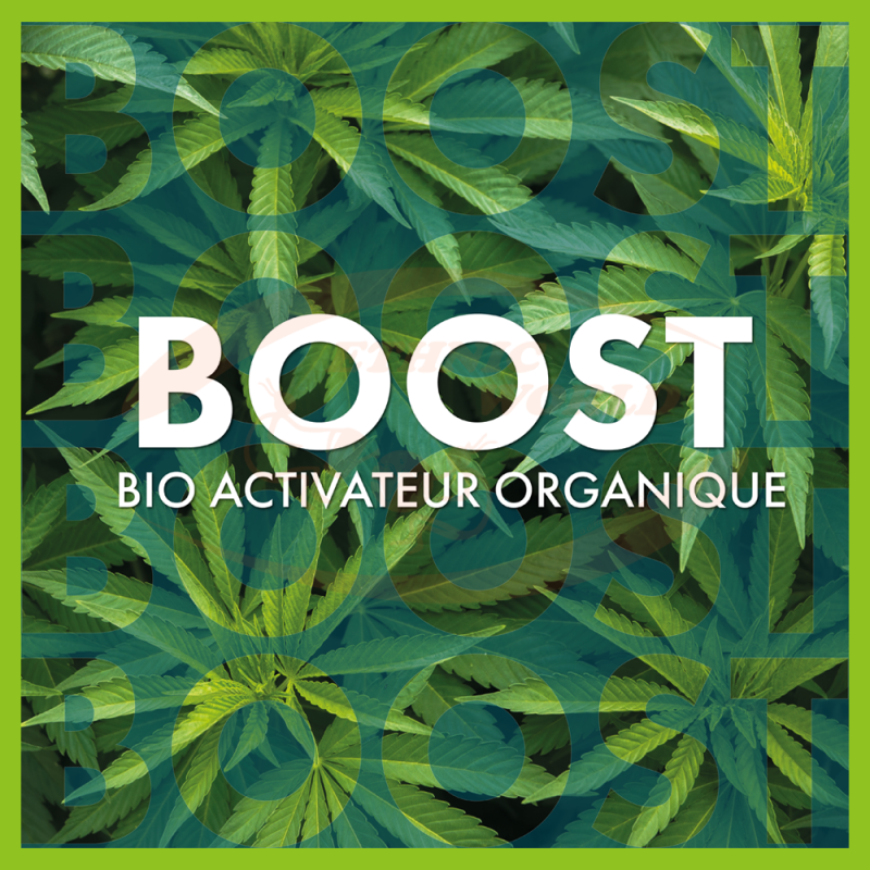 TheAzimut BOOST