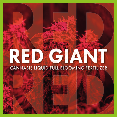 TheAzimut RED GIANT
