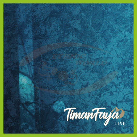 TimanFaya - Live (2024)