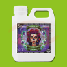 TP La Calavera Catrina Terra Growth