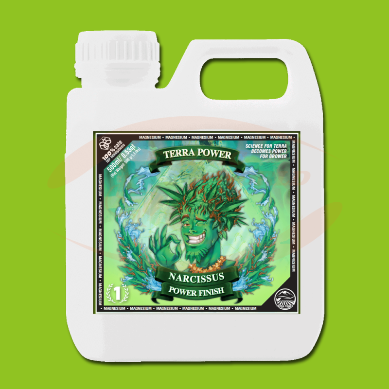 TP Narcissus Power Finish