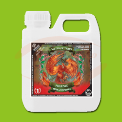 TP Phoenix Terra Wonders