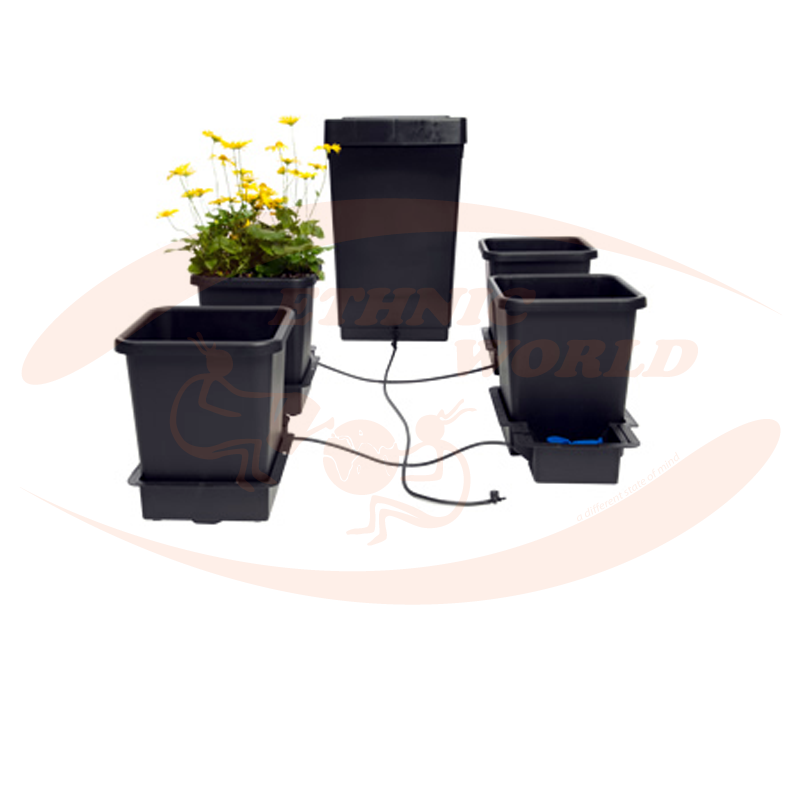 Autopot