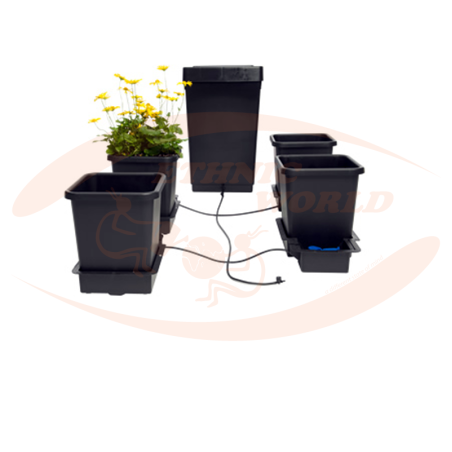 Autopot