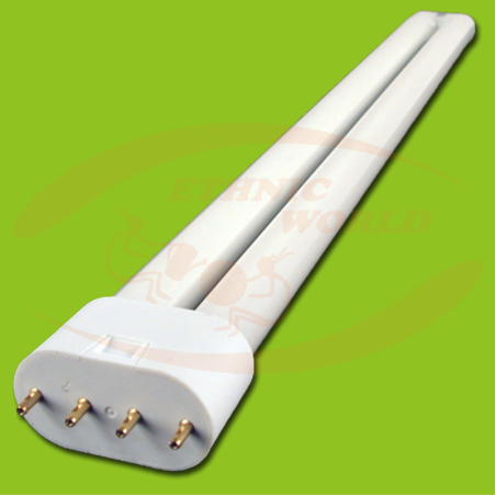 Turbo Neon 55 W Secret Jardin
