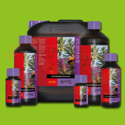 Bcuzz Bloom Stimulator Coco