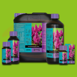 Bcuzz Blossom Builder Liquid