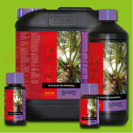Bcuzz Booster Universal Coco