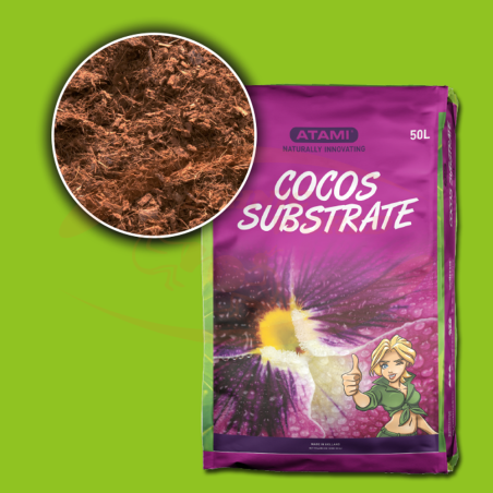 Bcuzz Coco