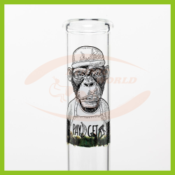 Bong en verre Greenline (LG22)