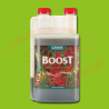 CANNA Boost Accelerator