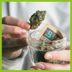 Boveda 62% Humidity Pack