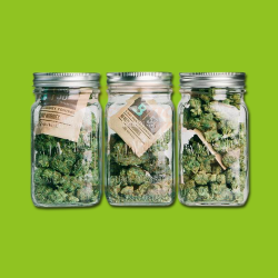 Boveda 62% Humidity Pack