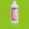CANNA Mono P (Phosphor)