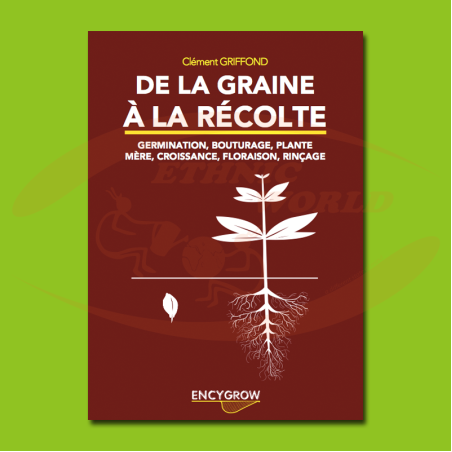 De la graine à la récolte