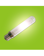 Lampen
