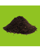 Soil