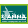 Canna