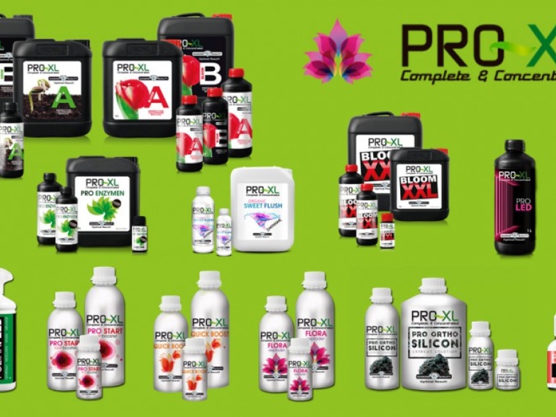 Why choose PRO XL as a fertilizer?