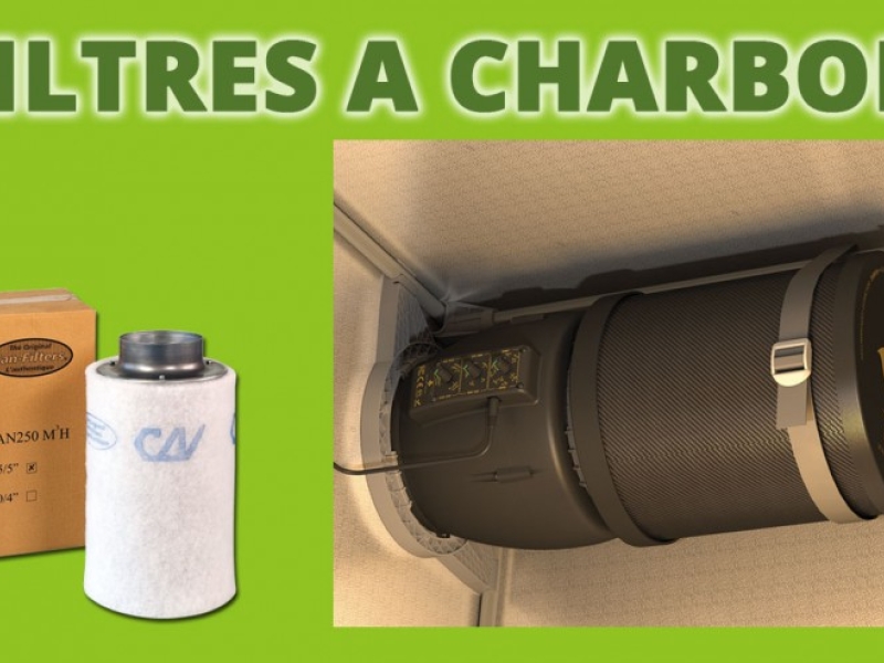 How to choose a carbon filter in indoor cultivation?