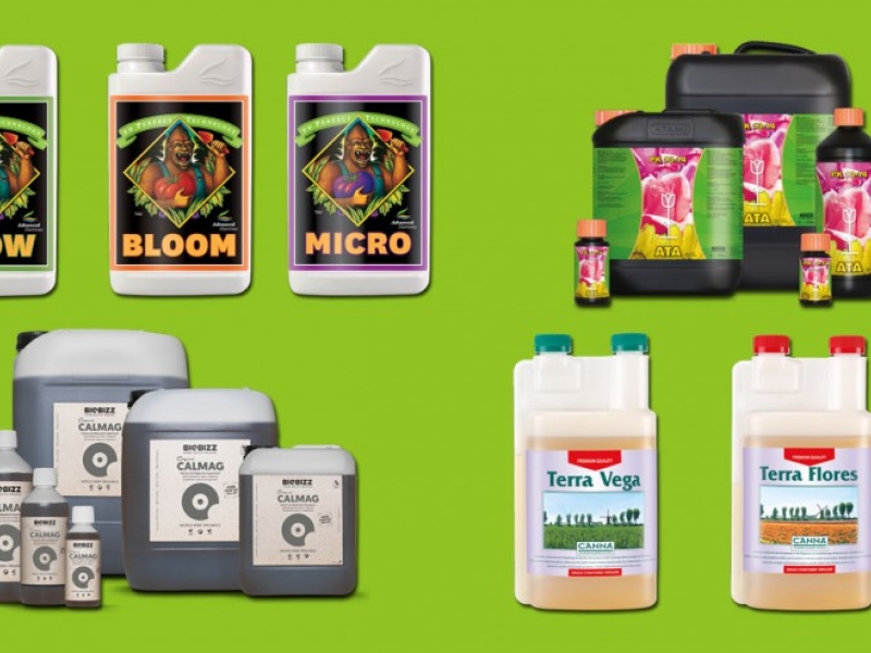 How to choose the right fertilizer?