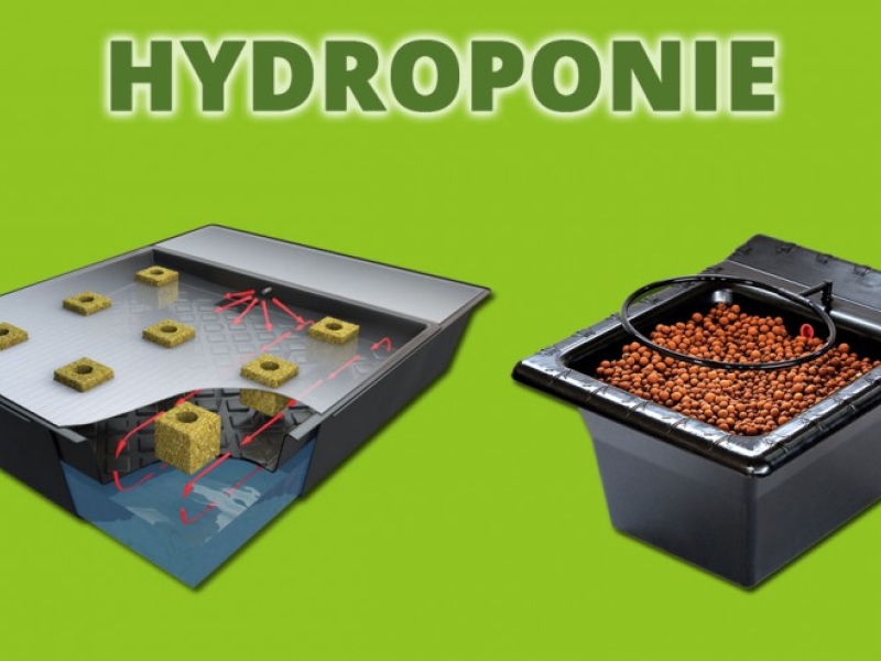 Culture in Hydroponics, tips and tricks