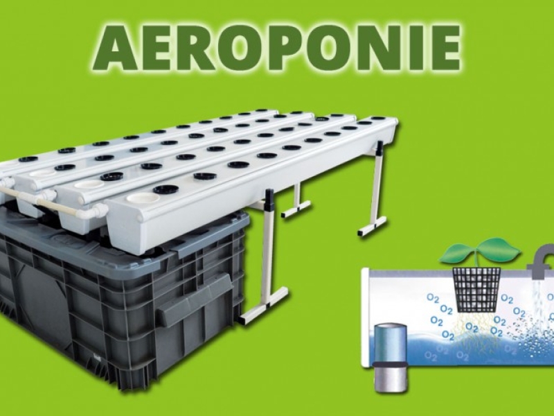 Aeroponic growing, tips and tricks