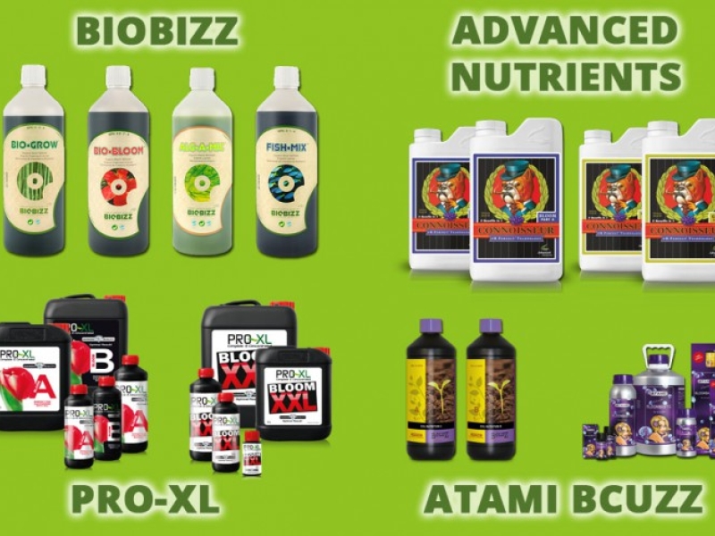 Best Indoor Growing Fertilizer
