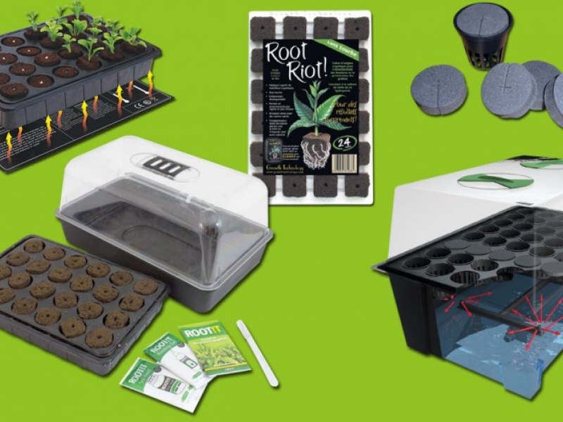 How do you get started with your first grow room?