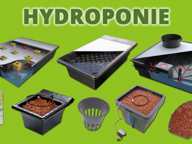 Hydroponics guide
